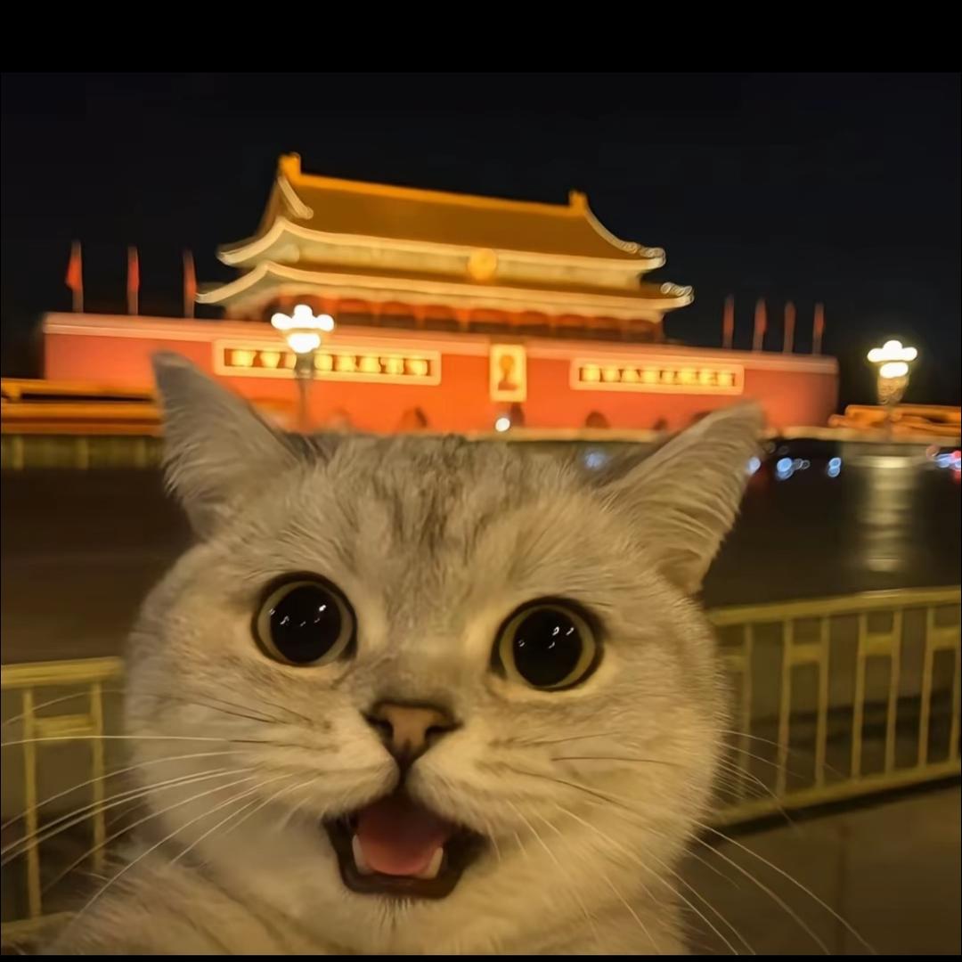宋亦暖