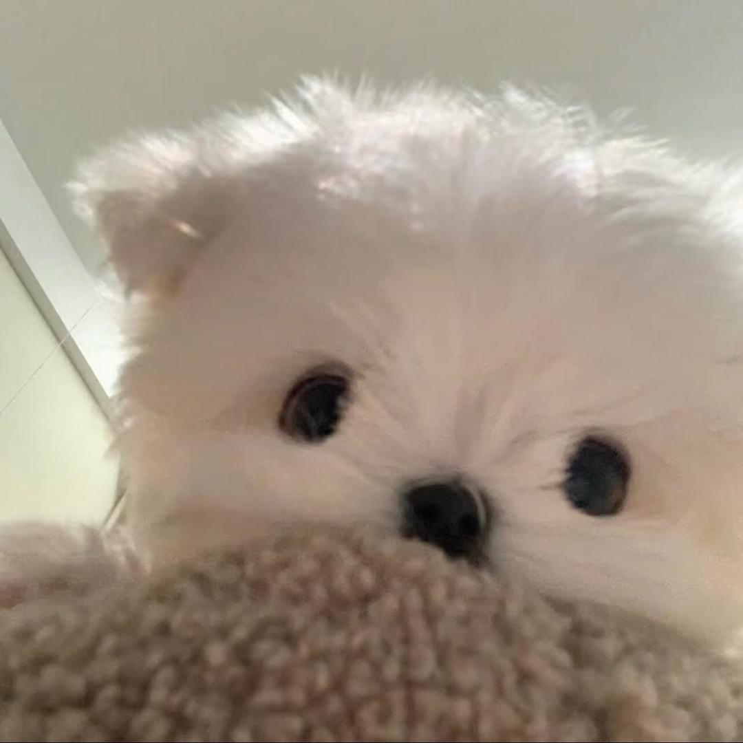 张宾