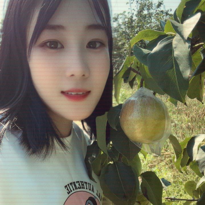 🍐玉露香🍐