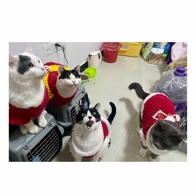 超多喵（我与14亿人互关版）