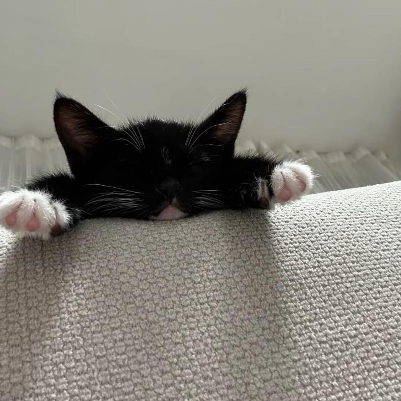 ㅤ   ㅤ    ㅤ    ㅤ