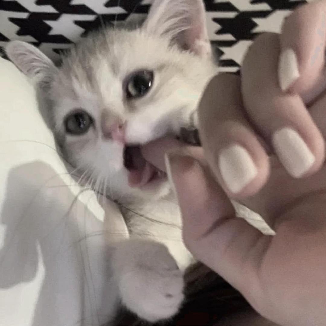 n_n