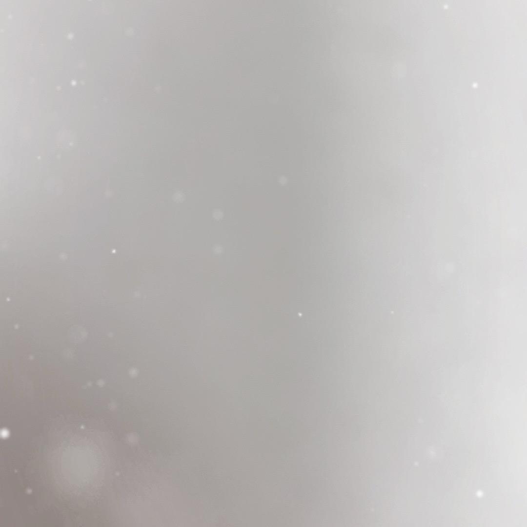 班班团队助理-浪华