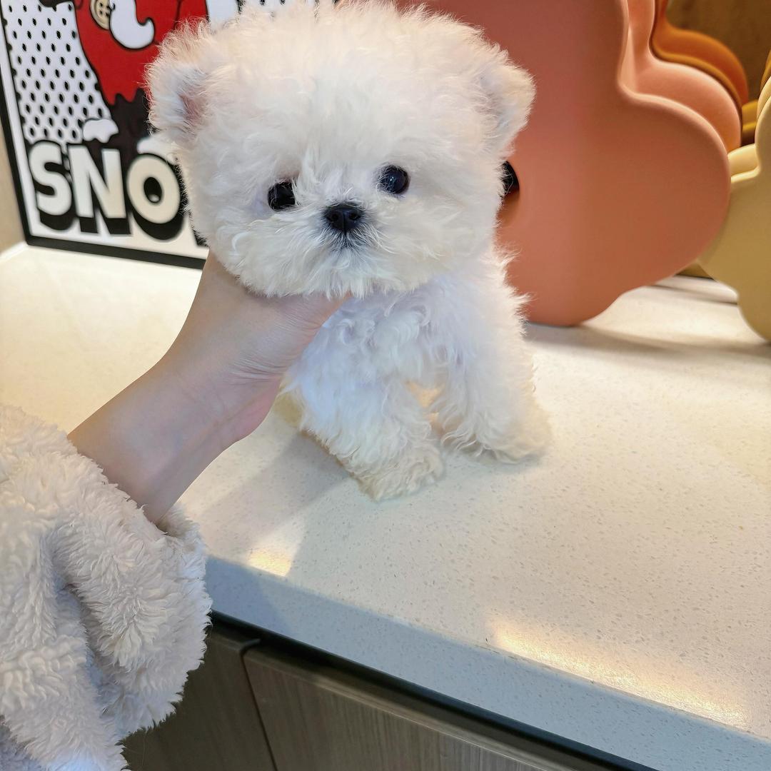 宠趣优品店