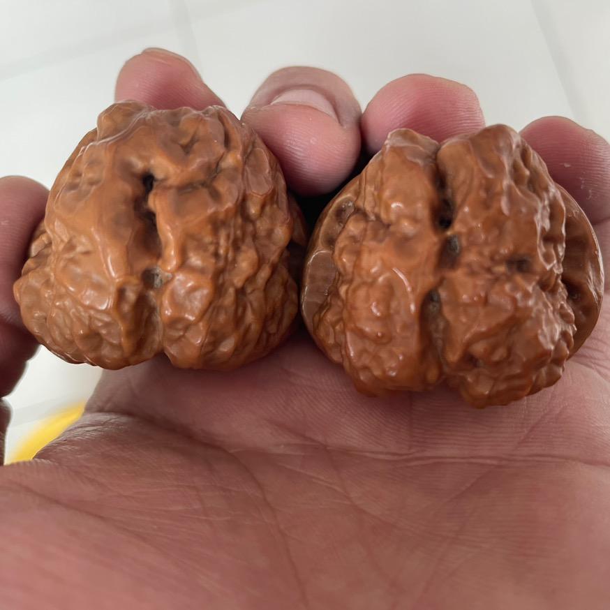 彤仔文玩核桃