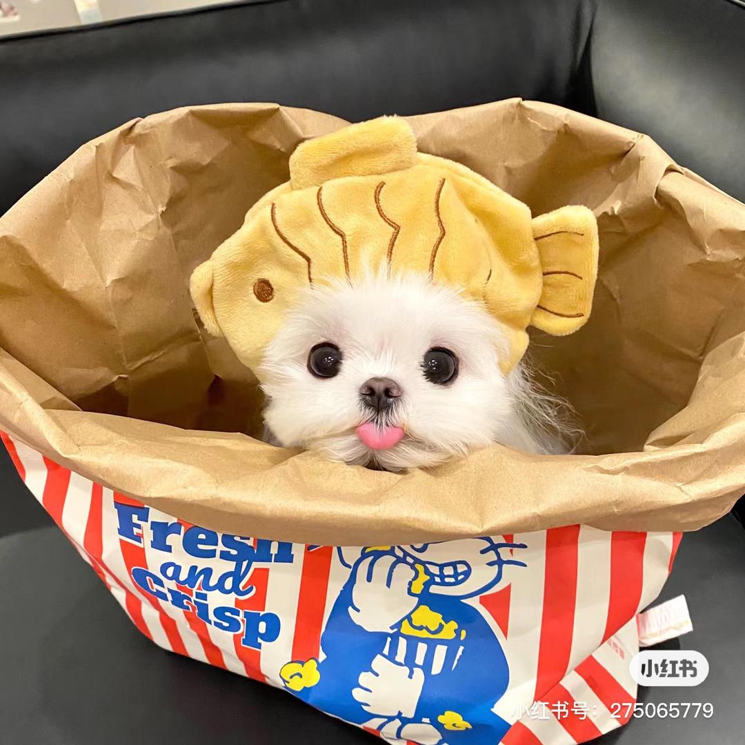 🍿️爆米花