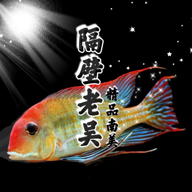 隔壁老吴玩南美