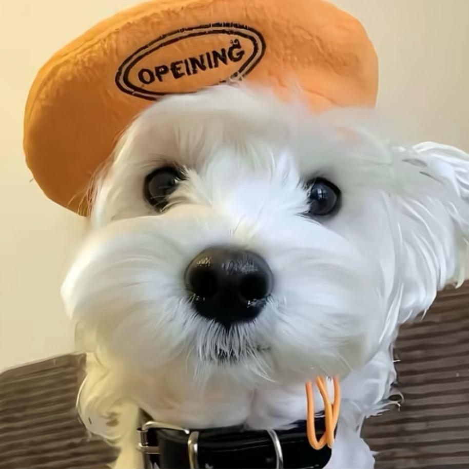 ￴￴ ￴￴ ￴ ￴￴￴ ￴￴