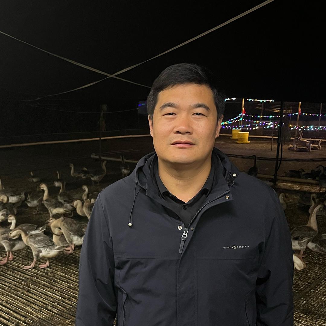 纳多利鹅业老张