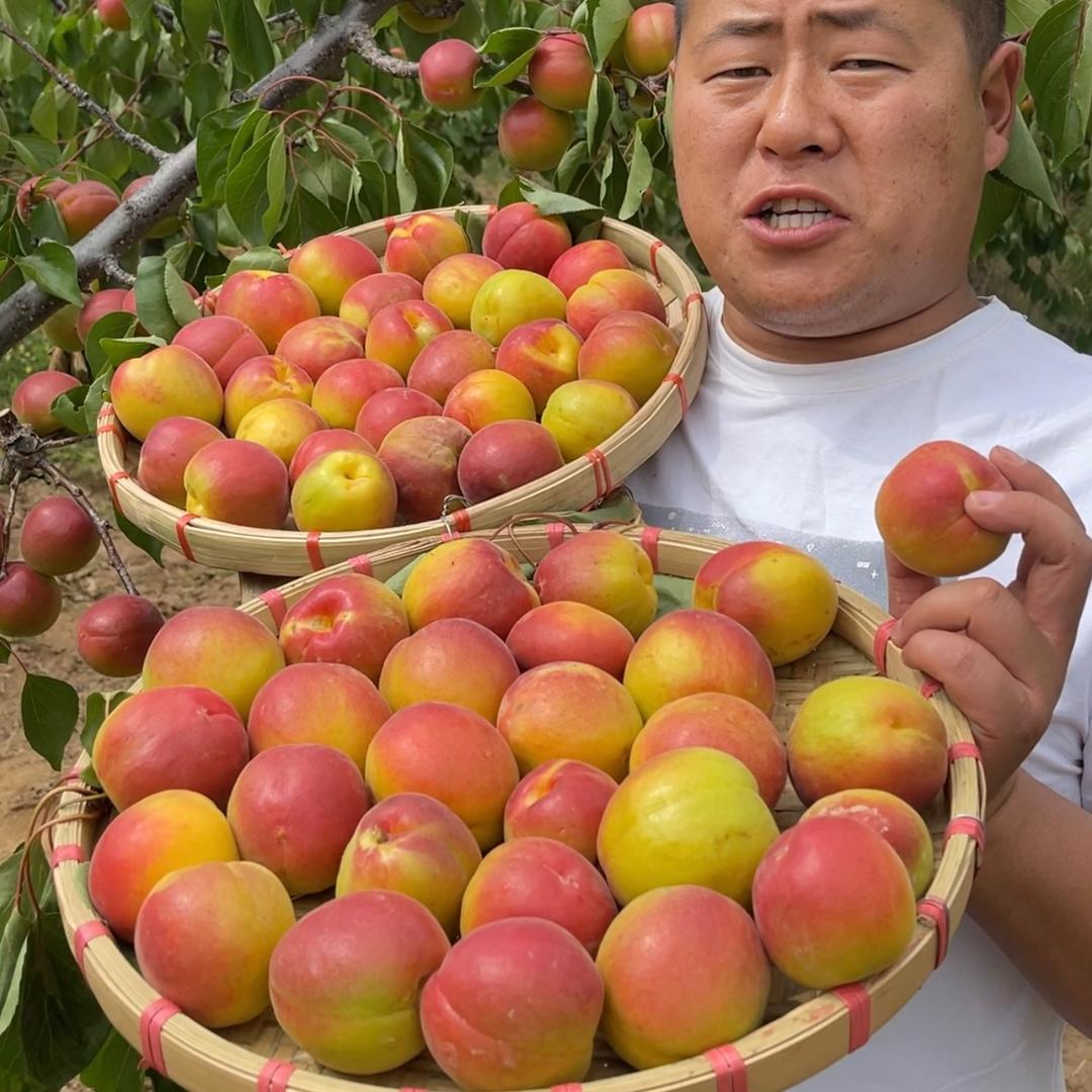 小李的果园