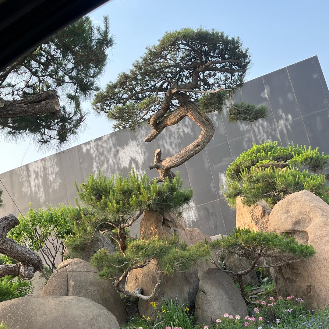 苍海