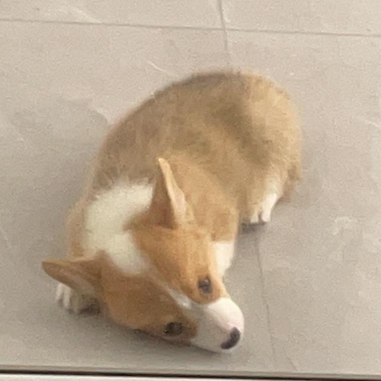 雷减音