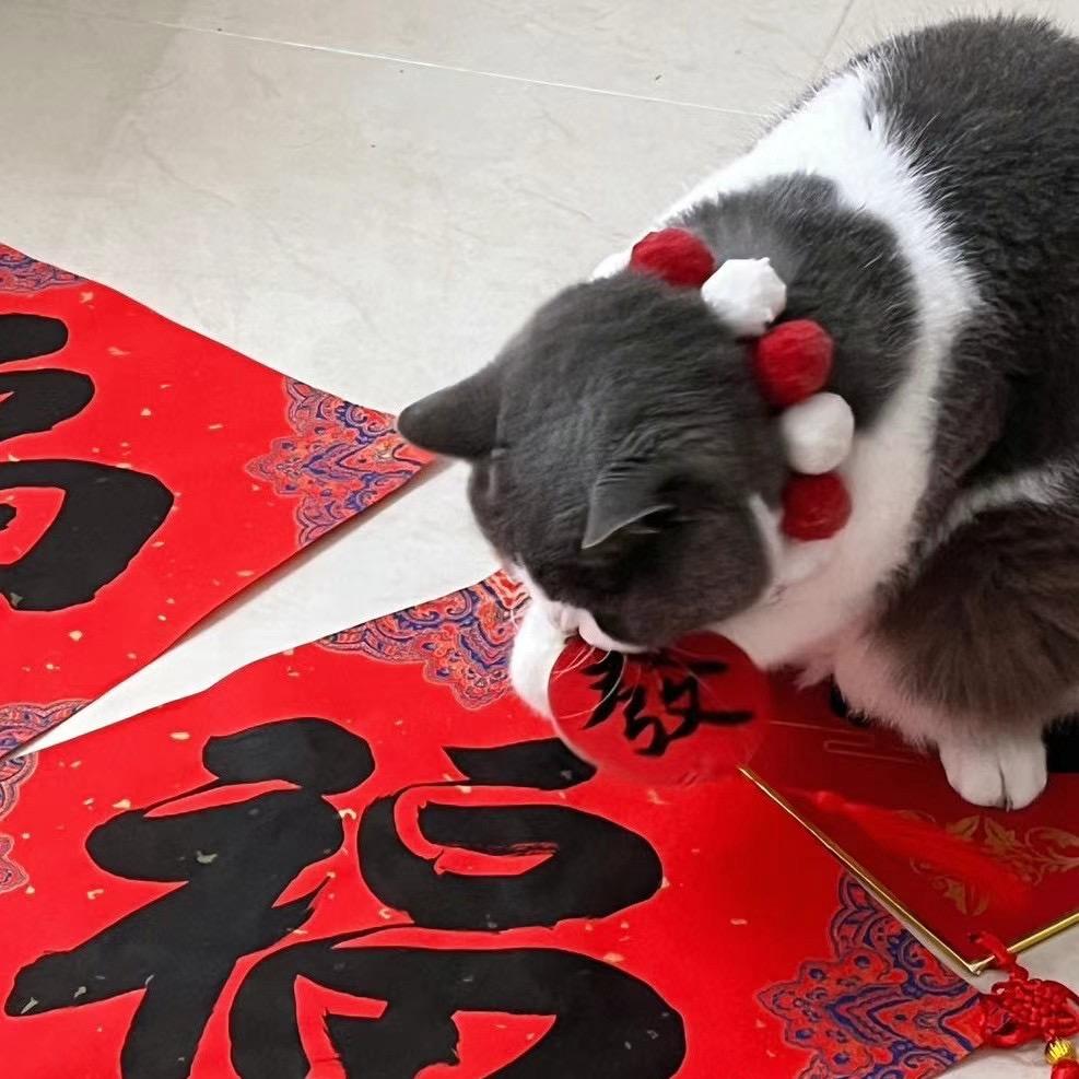 等风来