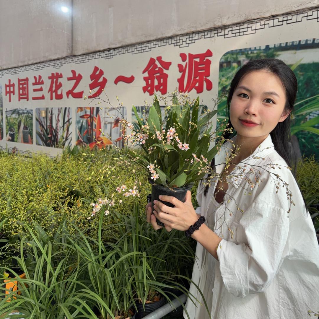 室雅兰香SHIYALANXANG