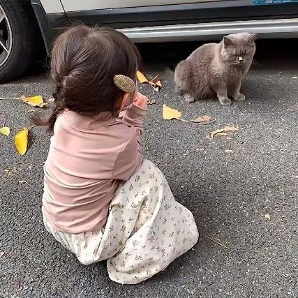 好萌一个雅🐾