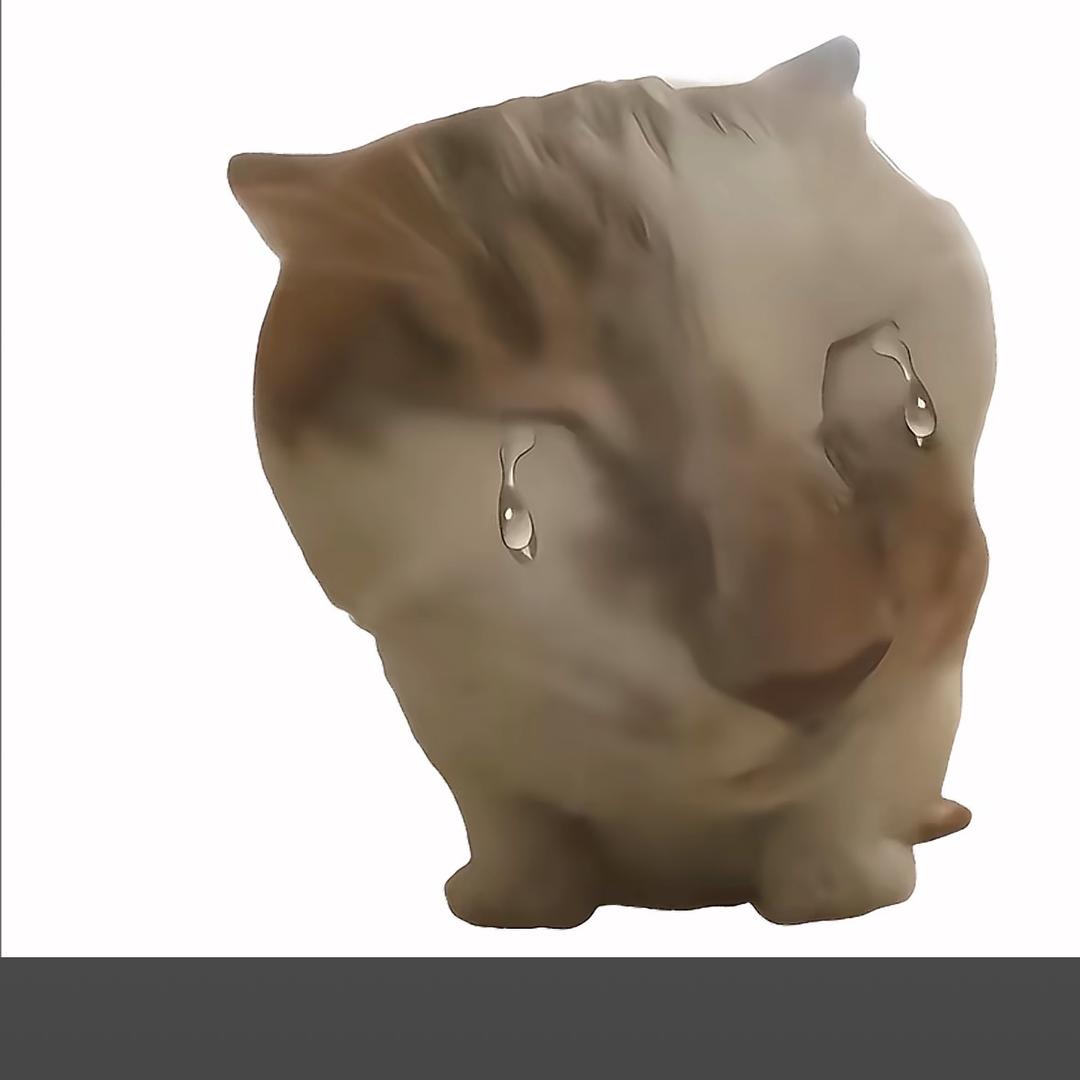 猫（羞涩髦耄）