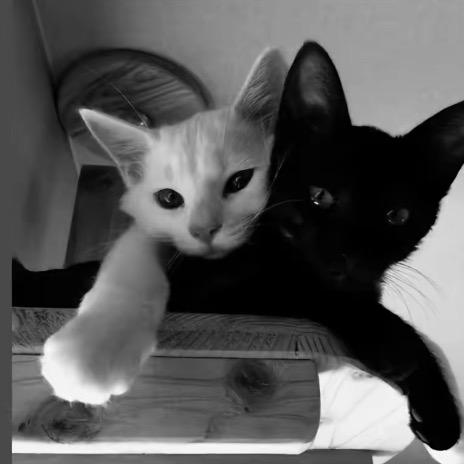 地球仪螺旋升天💥