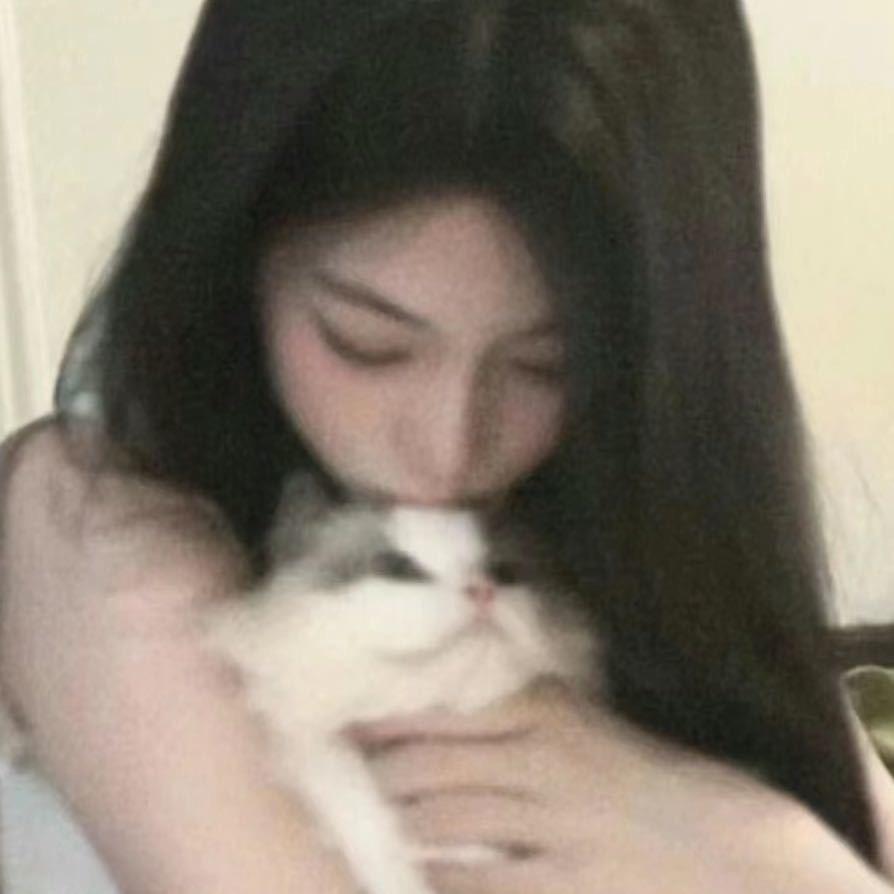 巷港的野猫