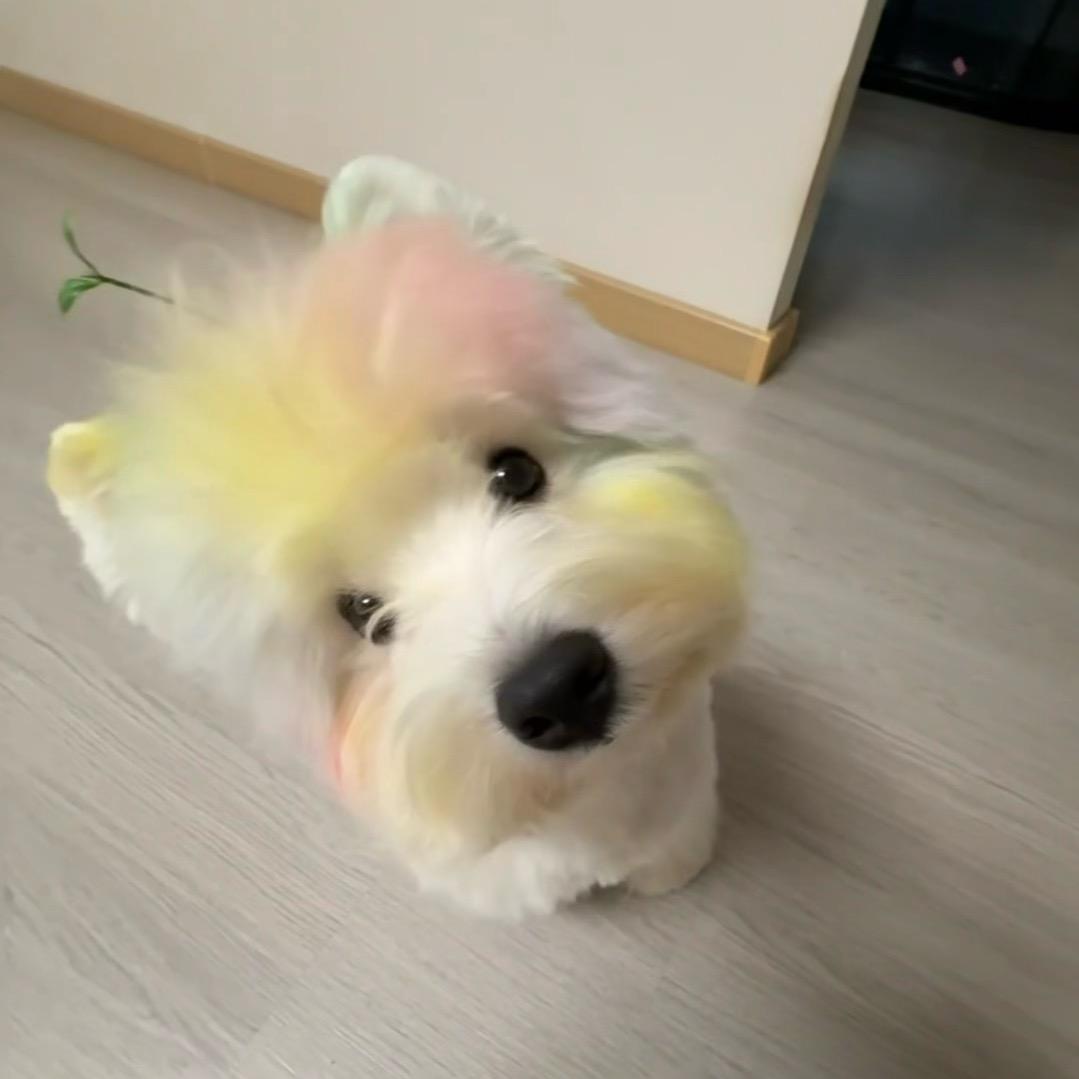 悠八