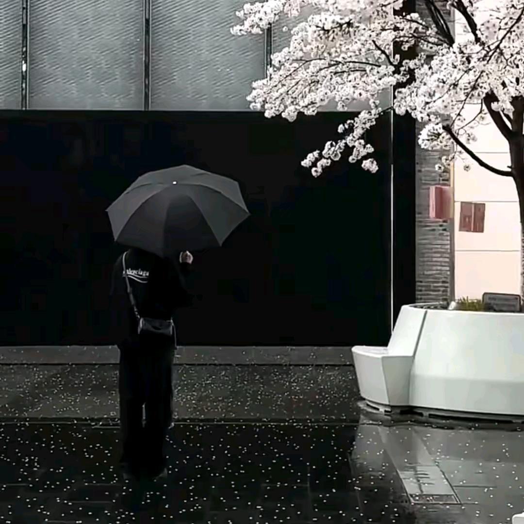 周东瑞