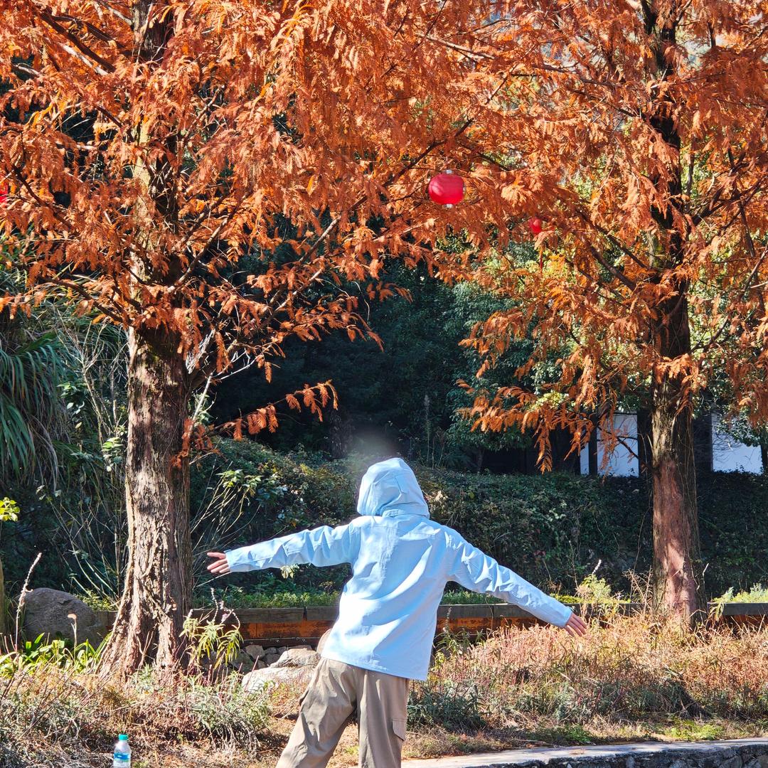 蘑菇公主