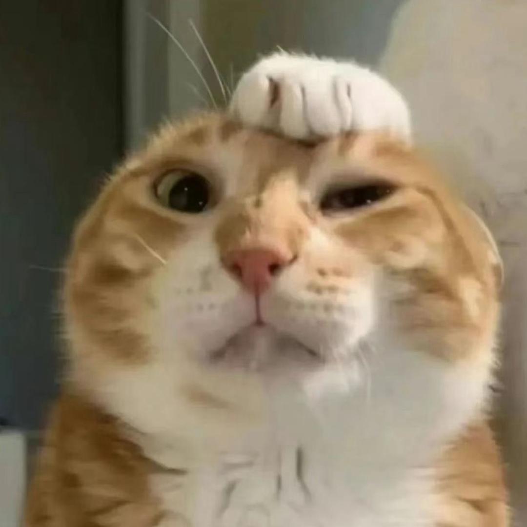 金木04