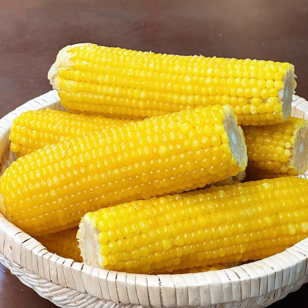 东北土老帽粘玉米