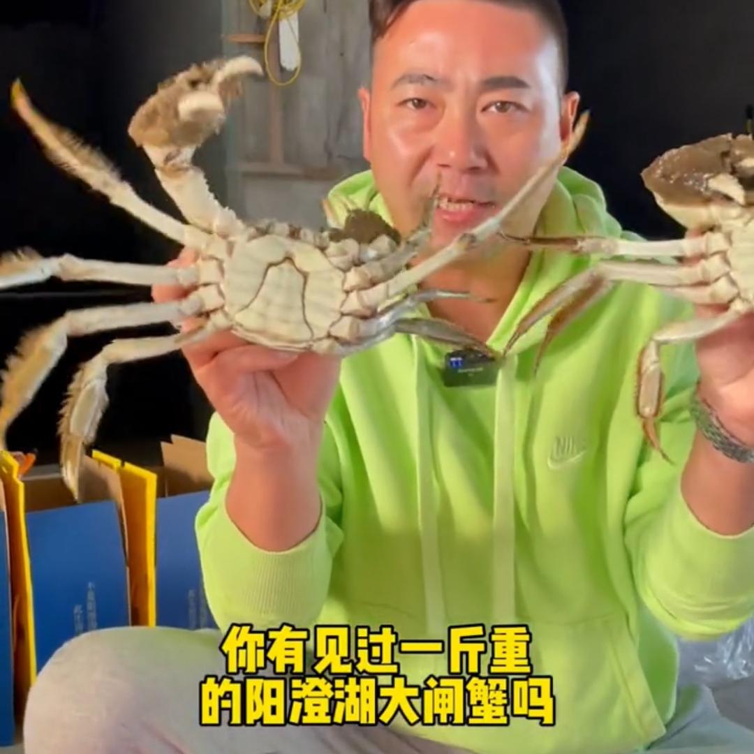 高老师阳澄湖大闸蟹供应链