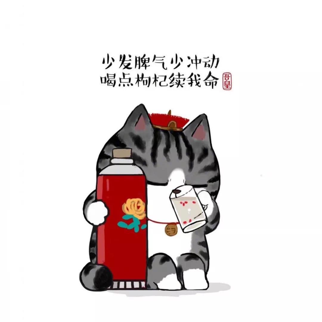 钢镚儿