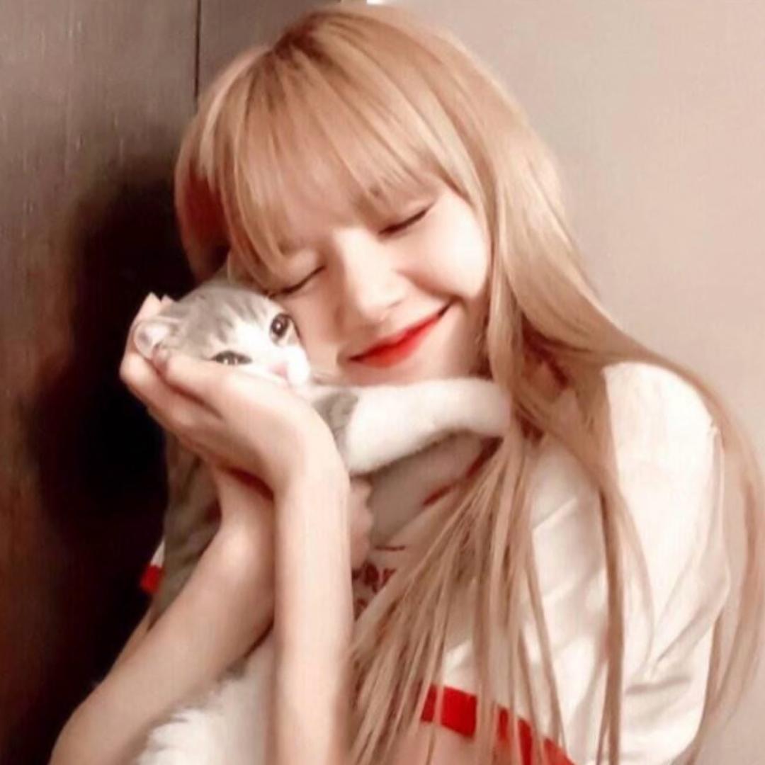 她和她的猫🐈