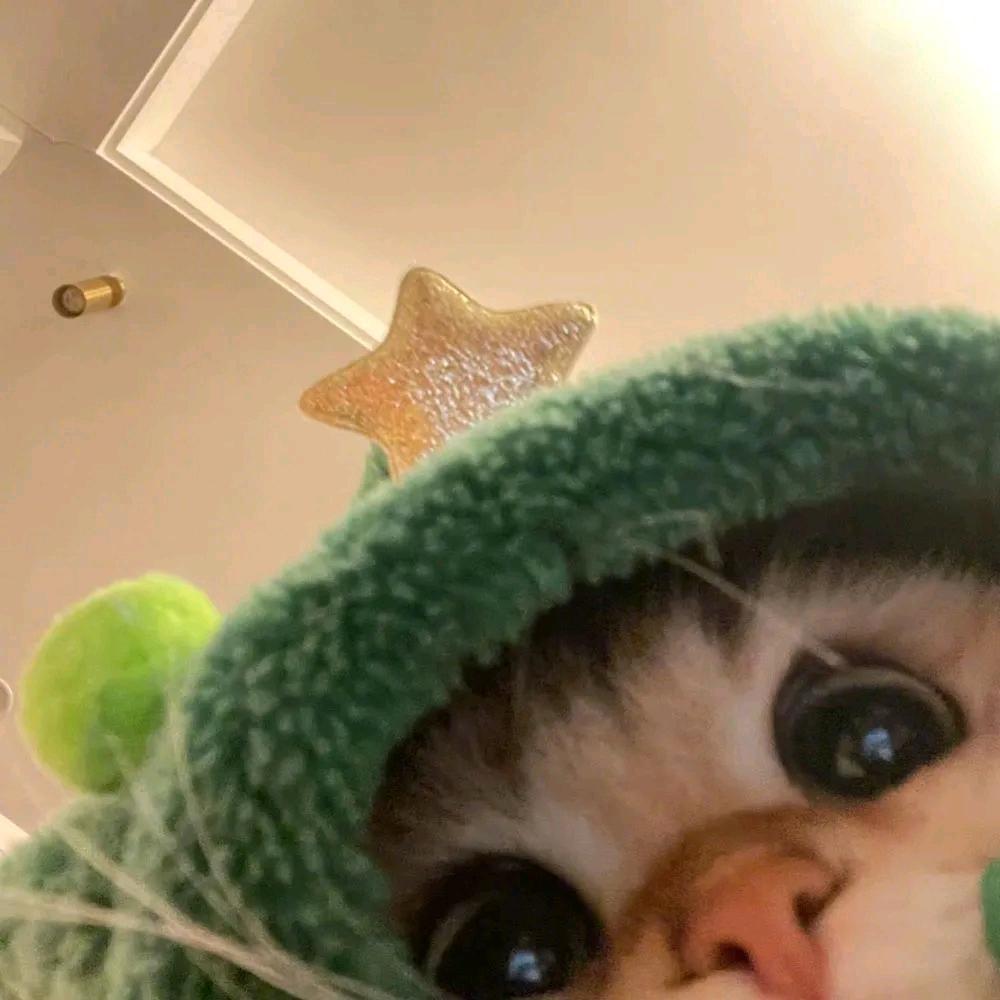 颖颖Z☡zᶻ