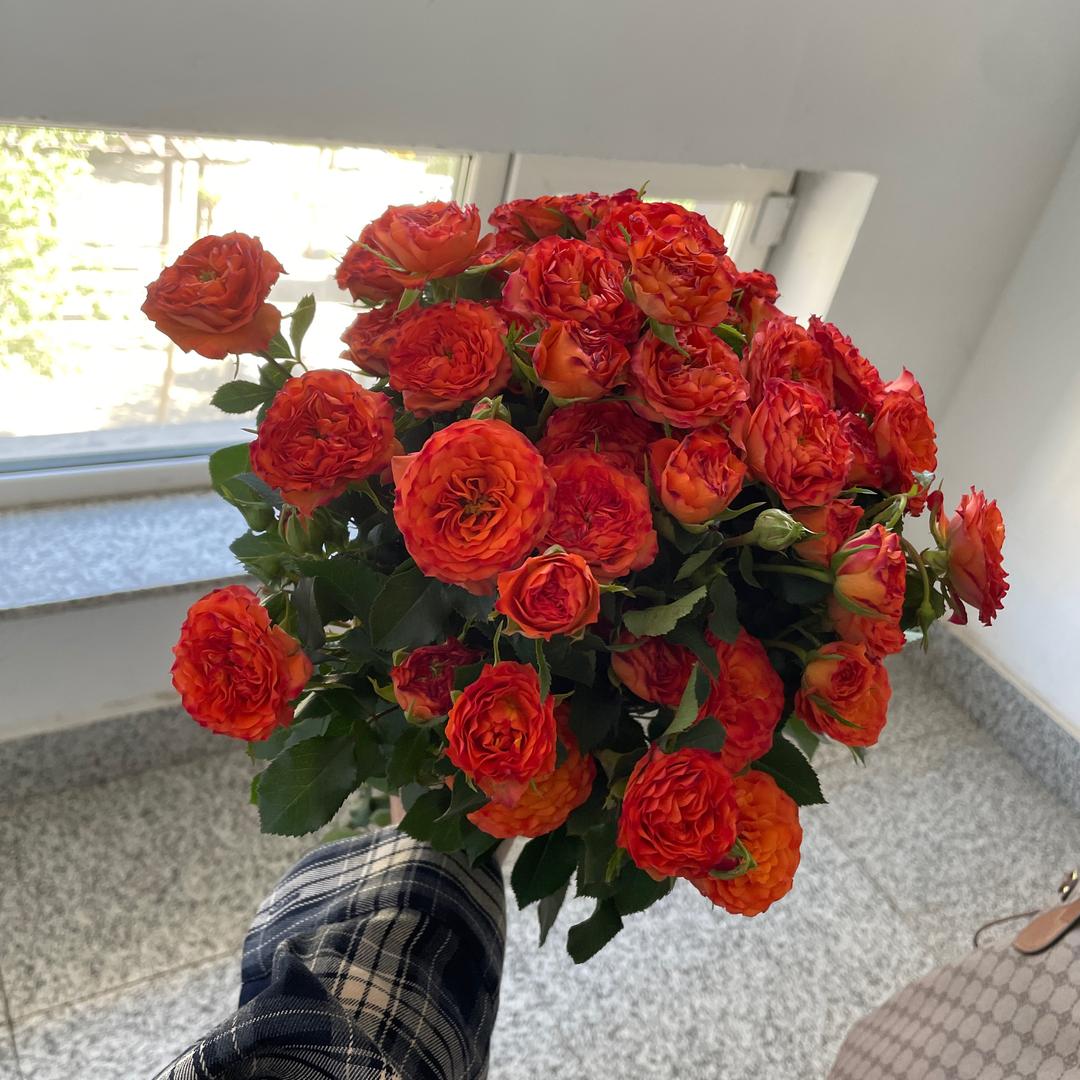 心里有个小太阳🍀🍀