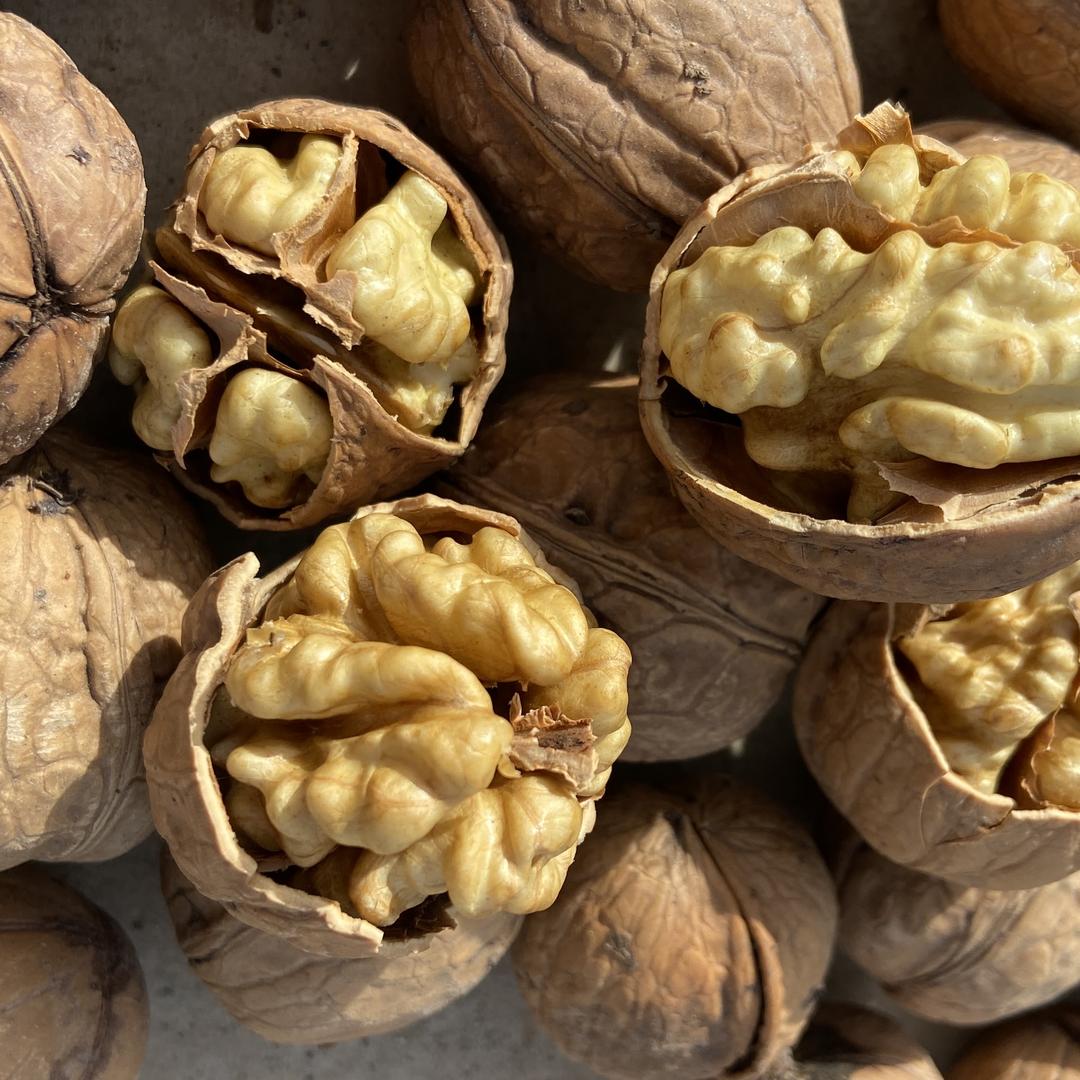 叶城昆源食品有限公司