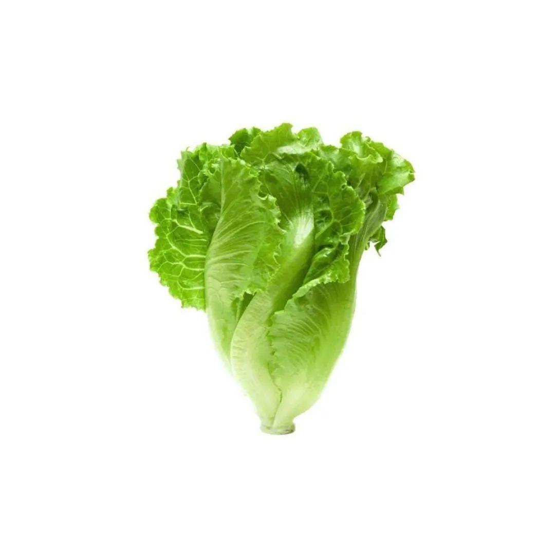 Xxf