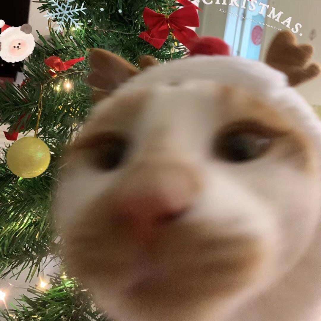 丶季匀