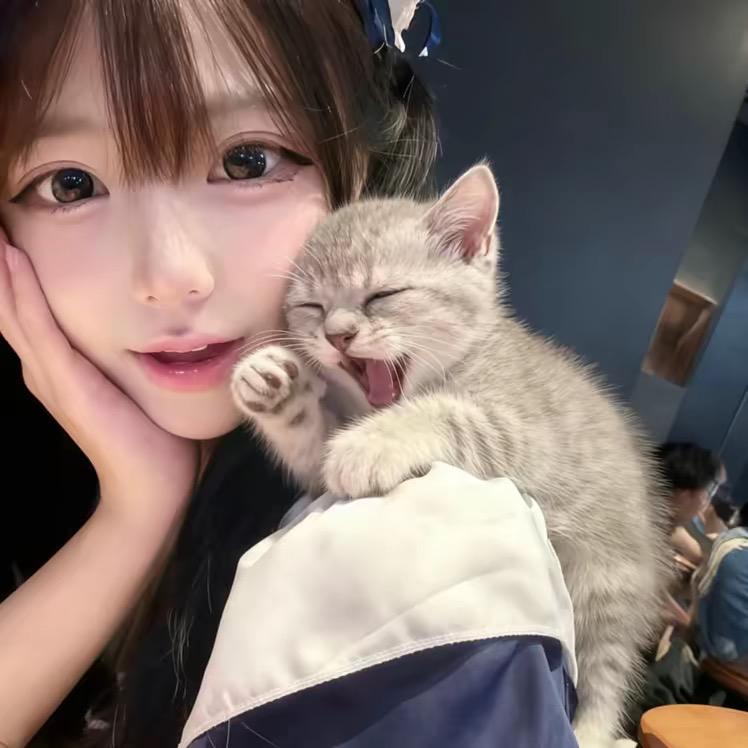 pei qi