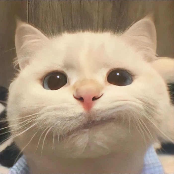 2612