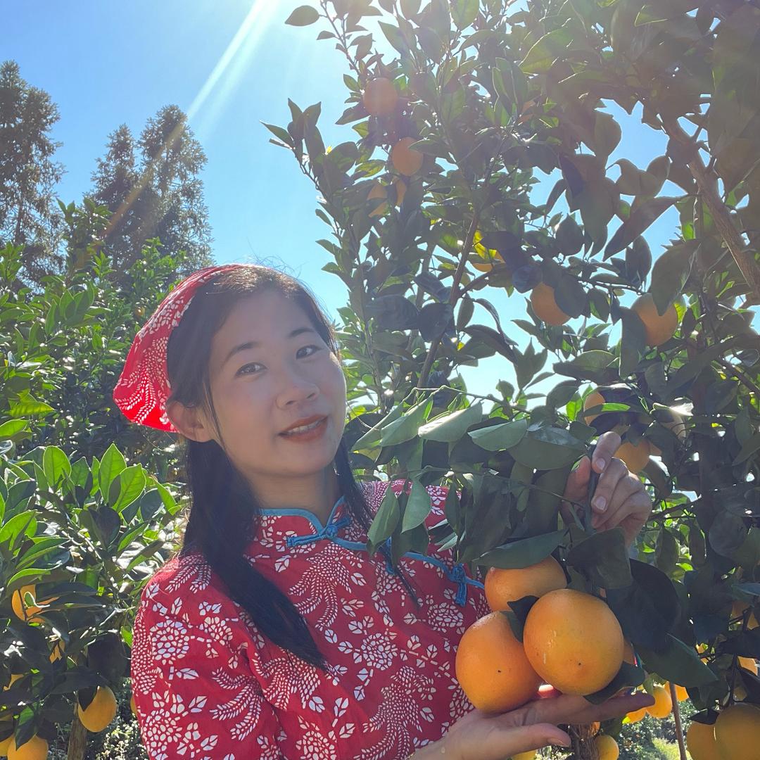 @乡村梅梅🍊赣南脐橙