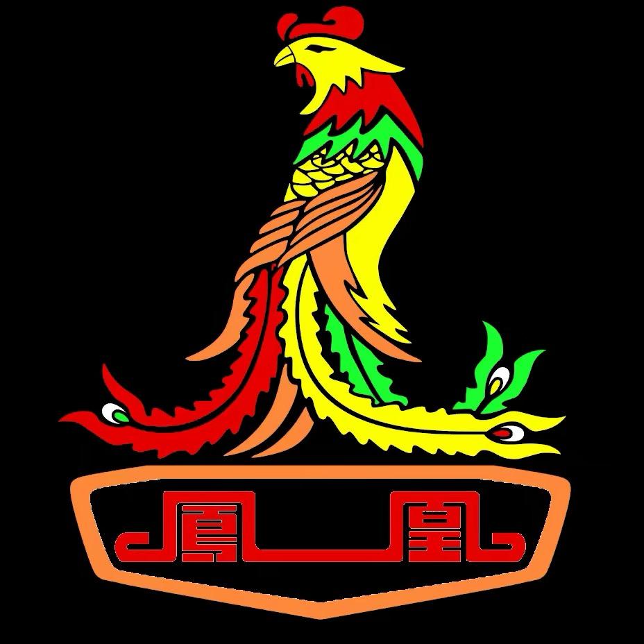 凤凰辰宇电动车专卖店