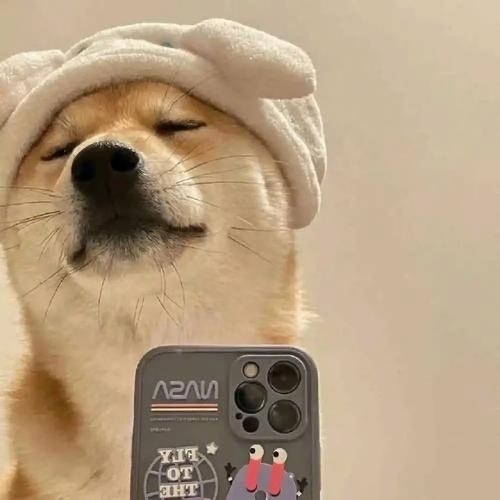 王唔昂