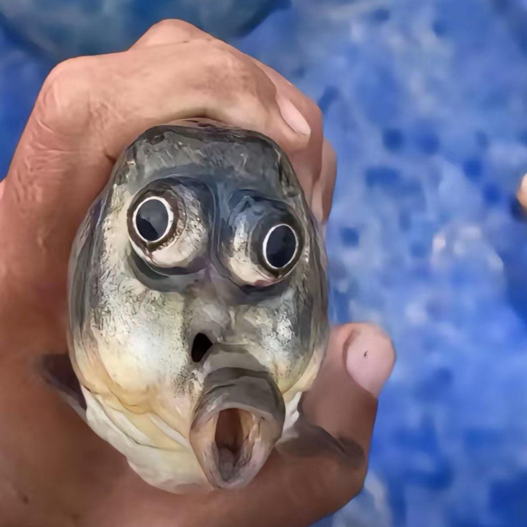 福老师