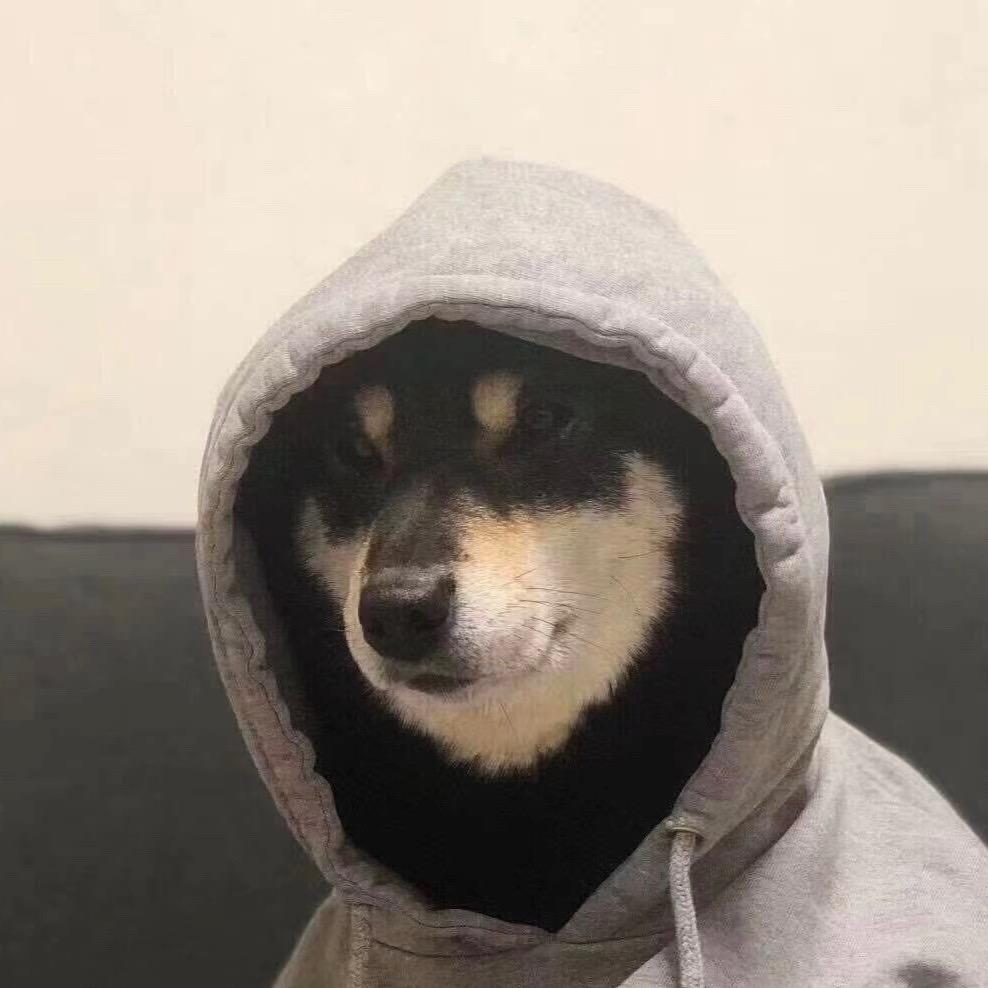 朱 泽 康