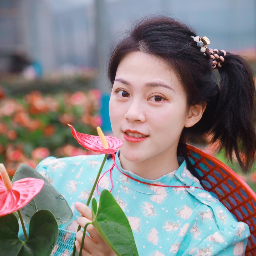 绿姬花美丽