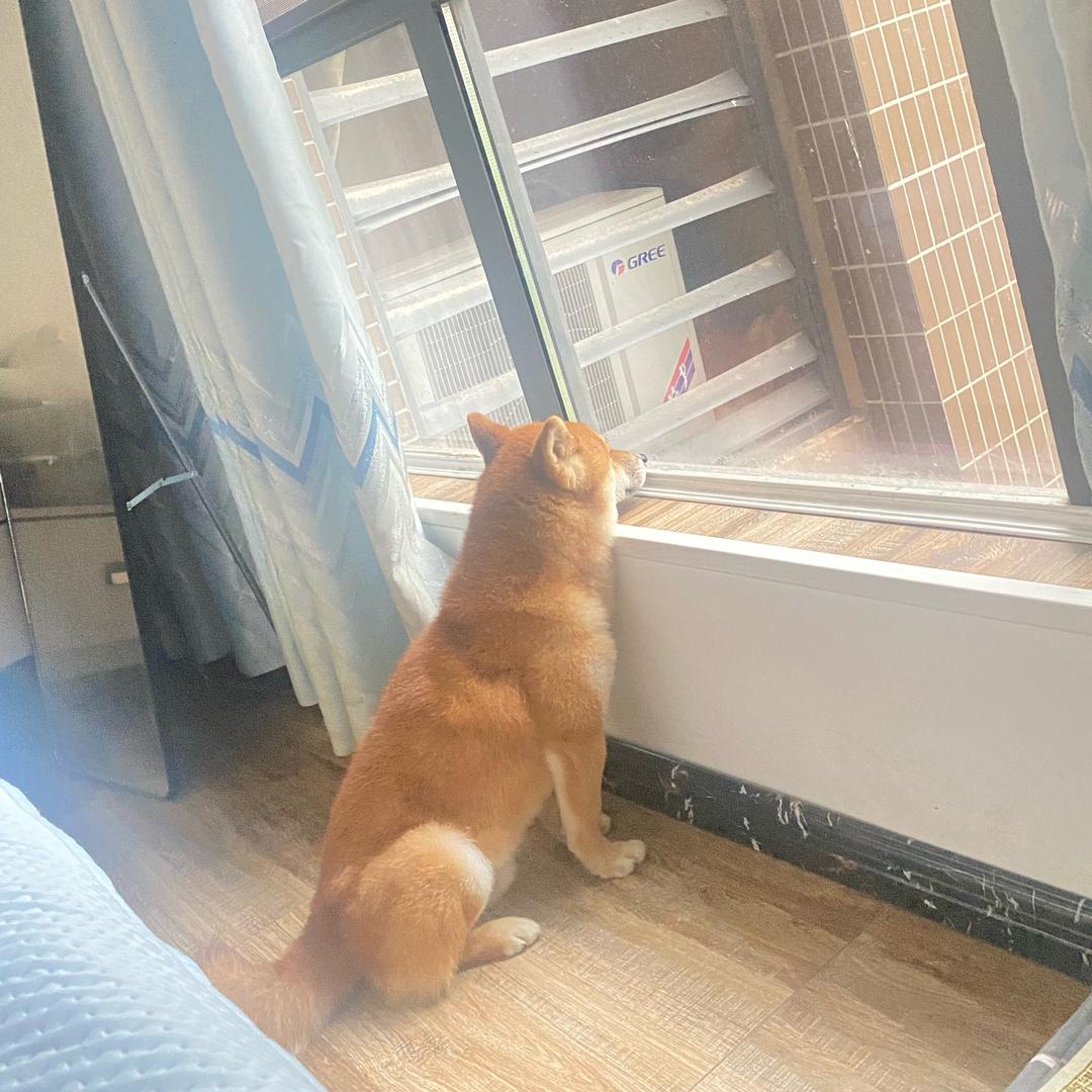 宇文子明              ༽