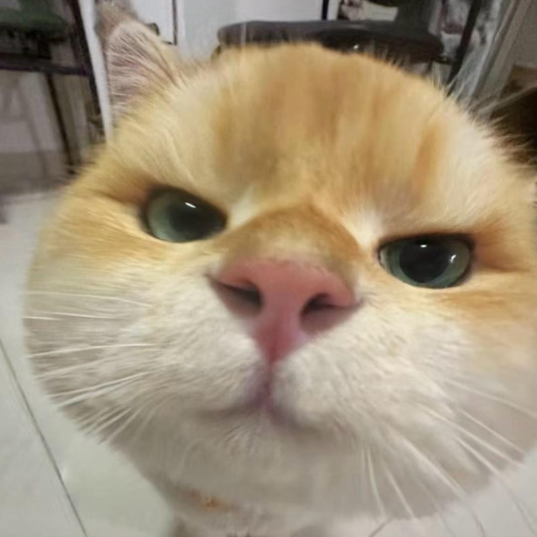 哈吉米哦哦哦哦哦