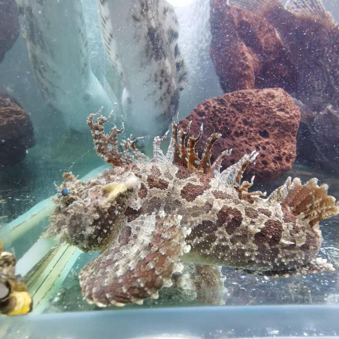 新渔道🐟海钓