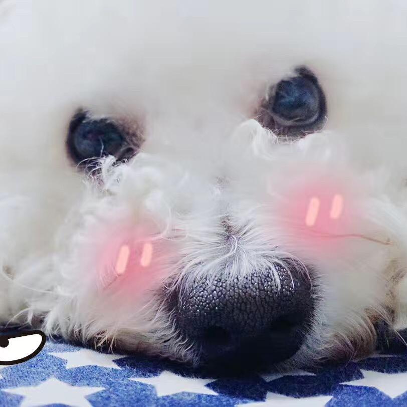 么a马❄️