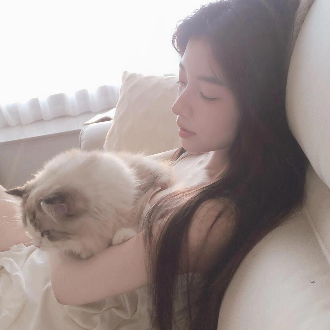 叁只鱼盒叁盆树-_