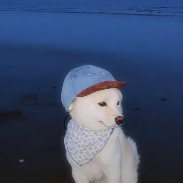 𝒖𝒏𝒄