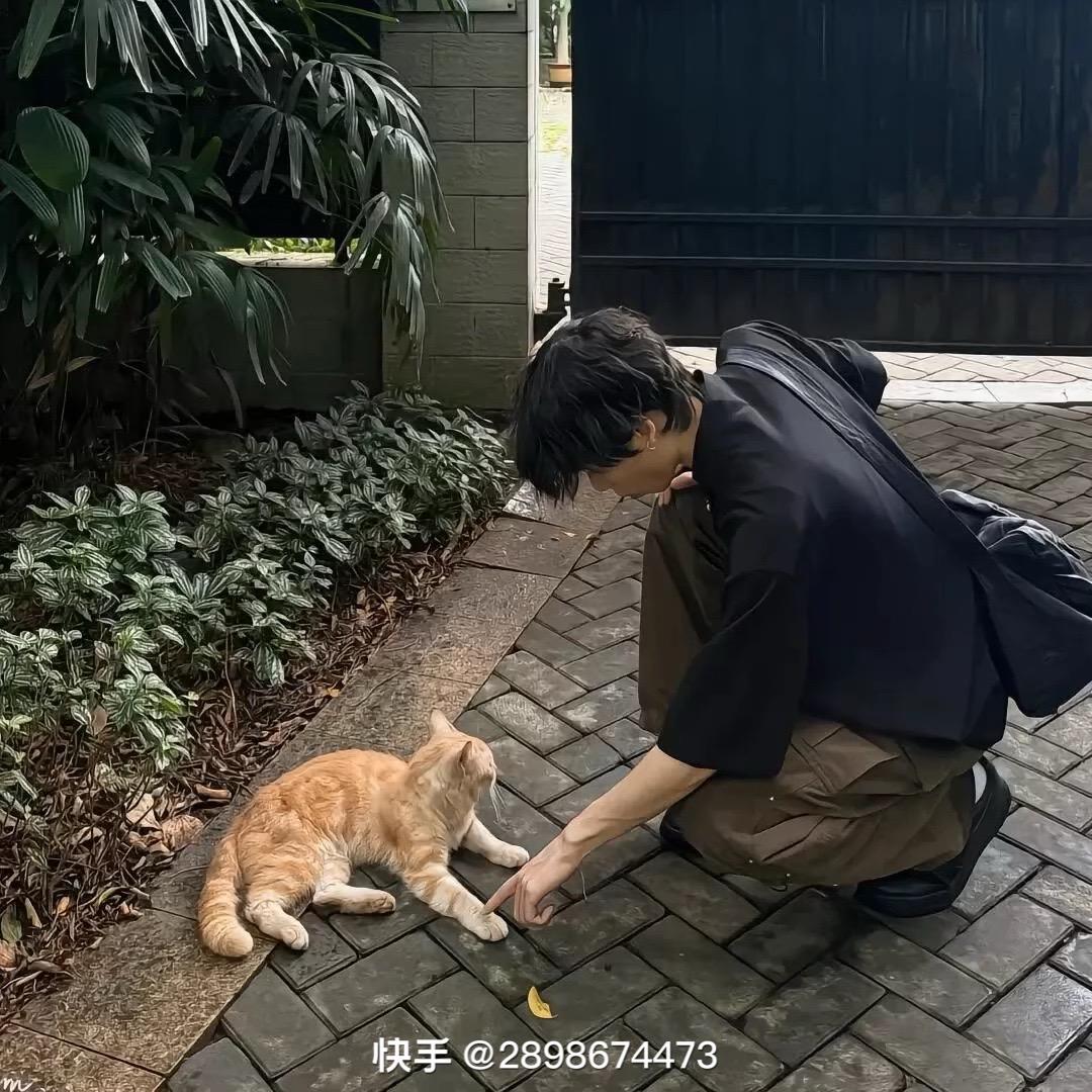 小郑·&【阿辉】